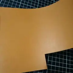キャメル参考画像