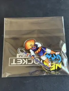 REAL BOUT餓狼伝説　勝利PIXELアクリルスタンド　望月双角