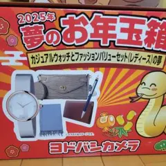 ヨドバシ 福袋 2025　カジュアルウォッチとファッションバリュー　メンズの夢 ヨドバシ福袋 メンズウォッチの夢2023 開封結果！ （中身紹介