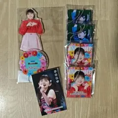 伊勢鈴蘭　モバガチャ　桜梅桃李　アクリルスタンド　アクスタ　SR アンジュルム 伊勢鈴蘭 アクスタ BIGアクリルスタンド SR アンジュルム