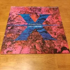 X 1992.東京ドーム3days パンフレット