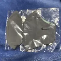 Item thumbnail for item 14b4d965-05b9-49d3-9b86-fb82575d8efc