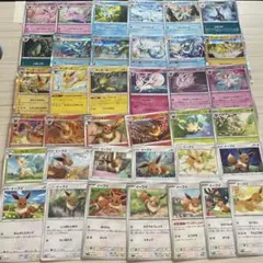 ブイズまとめ売り イーブイ 進化ライン