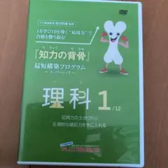2025年最新】知力の背骨の人気アイテム - メルカリ