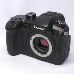 タイムセール！DC-GH5 LUMIX、ケージ、14-140レンズ、カード付 717UESmXPBL._UF350,350_QL50_.jpg