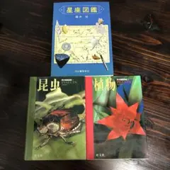 【星座図鑑☆昆虫図鑑u0026植物図鑑】3冊セット