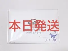 鬼滅の刃 無限城 胡蝶しのぶ 追憶ブロマイドセット