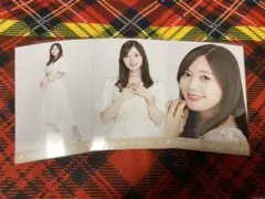 【11月22日23:59まで】乃木坂46 生写真 白石麻衣 しあわせの保護色