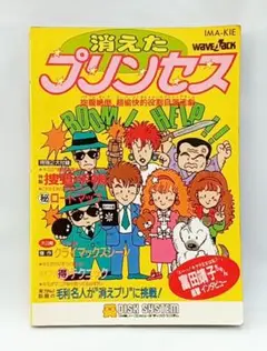 消えたプリンセス　攻略本　ガイドブック