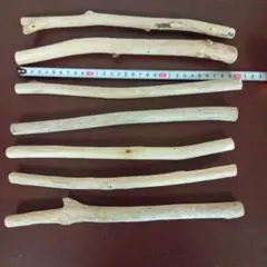 Item thumbnail for item 33c760c9-9493-4d79-8699-c093dd4351de