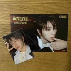 ソンホ　BOYNEXTDOOR Boylife トレカ　ポストカード