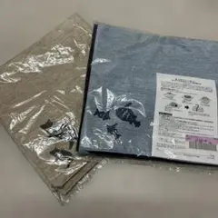 Item thumbnail for item 6f920a64-ac0a-42a2-8d1a-d29c1e85266c