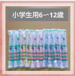 【597】新発売　shushu小学生歯ブラシ　ふつう20本
