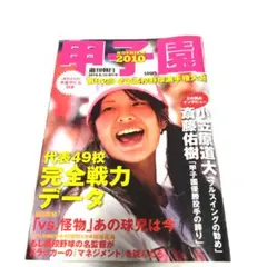 甲子園 雑誌　第92回全国高校野球選手権大会　山田哲人　糸原健斗　有原航平