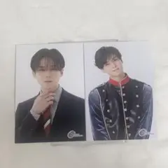 EBiDAN museum 2025 沢村玲 REI ポストカード