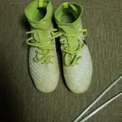 NIKE マジスタオーデン 限定レザーモデル 28.0㎝ NIKE マジスタオーデン 限定レザーモデル 28.0㎝ - メルカリ