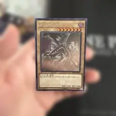 遊戯王　レッドアイズブラックドラゴン　ホロ
