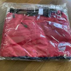 Item thumbnail for item c2ef9bfa-536f-4c8b-8d70-c8836bc610ae