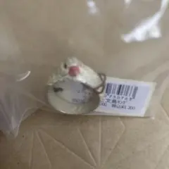 うとうと文鳥リング 11号Palnart Poc 片目をつぶる白文鳥未使用タグ付
