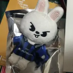 straykids skzoover karma リービット