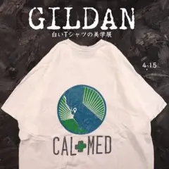 GILDAN 白Tシャツ 地球　プリント　2XL