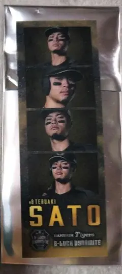 Item thumbnail for item 86e4d9c1-3cb5-4e56-bde4-b16d5bf6735b