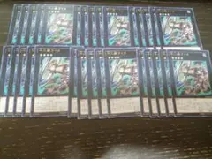 遊戯王　パーツ　30枚　十二獣　ライカ