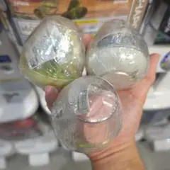 カプセルトイ　mofusand カプセリウム　海の生き物にゃん　コンプセット
