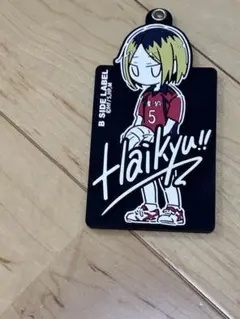 ハイキュー 研磨 カードケース
