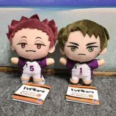 ハイキュー みにコレ ぬいぐるみマスコット 牛島若利 天童覚