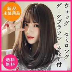 ウィッグ セミロング ダークブラウン ネット付き
