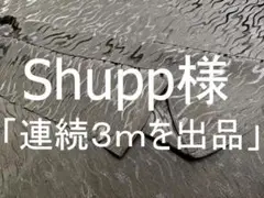 「連続３ｍを出品」