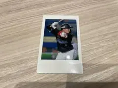 千葉ロッテマリーンズ 友杉篤輝 チェキ
