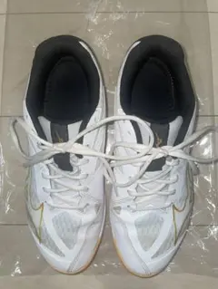 Mizuno Wave Lightning Z4 バレーボールシューズ