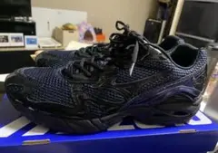 MIZUNO end. コラボwaverider 10 26.5cm