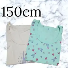 新品 キッズ 女の子 女児 インナー 下着 半袖 2枚セット タグ無し 150