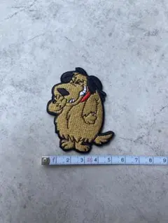 アイロンワッペン☆ケンケン
