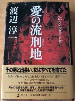 【美品】愛の流刑地 上 渡辺淳一