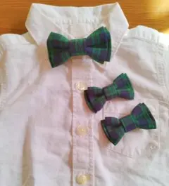 Item thumbnail for item bc12acfb-c976-4240-8e00-6861d4e969c8