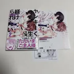 ヤンキーくんは生徒会長様に躾けられたい 2 アニメイト特典付き