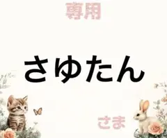専用