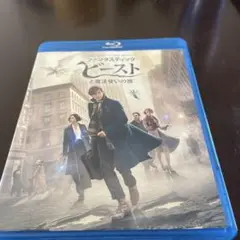 ファンタスティック・ビーストと魔法使いの旅 ブルーレイ&DVDセット('16英…