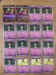 【美品】　メガサーナイト　ラルトス　キルリア メガニウム　ベイリーフ　チコリータ
