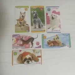 【おしゃべりわんこ】カード 6枚セット まとめ売り