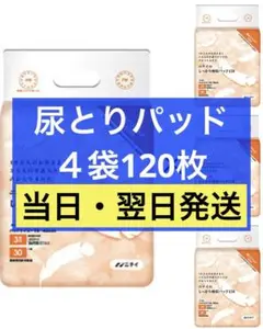 Item thumbnail for item 80f872ba-1710-4be6-a9a7-570b00660006