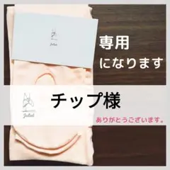 チップ様専用