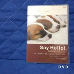 Say Hello!あのこによろしく。 語り:樋口可南子 東京糸井重里事務所