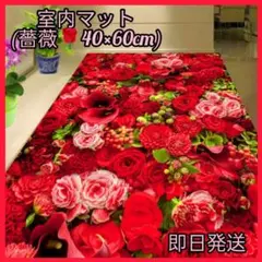 Item thumbnail for item 09c851a2-fecd-48b8-9a2f-0032e85006ec
