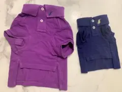 Item thumbnail for item 26c5310a-bdbf-45b0-b7ea-6c2a1960e063