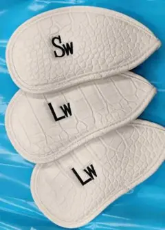 Item thumbnail for item 4aa0fcb1-4128-4728-acc1-9c72564577b8